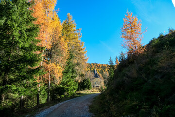 Panoramic hiking trail through idyllic forest in autumn leading to church Schoenanger in Grebenzen, Gurktal Alps, Styria, Austria. Colourful trees in tranquil serene atmosphere in Austrian Alps