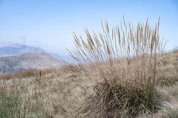 Fototapeta premium sand dunes in the dunes