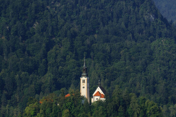Fototapeta na wymiar view of gorgeous clear water blue lake and mountains around in slovenia 