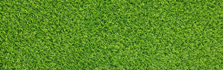 Fresh green grass as background outdoors, top view. Banner design - obrazy, fototapety, plakaty