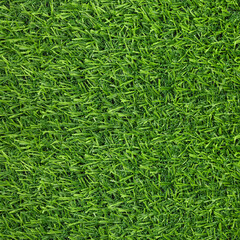 Fresh green grass as background outdoors, top view