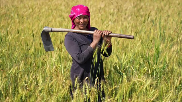 A confident woman stands tall in her wheat field, symbolizing the vital role and contributions of women in agriculture and rural development