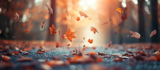 Keuken spatwand met foto Selective focus on a background of autumn leaves. © Sona