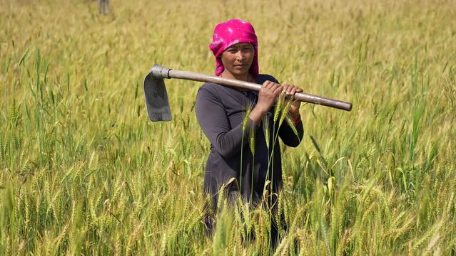 A confident woman stands tall in her wheat field, symbolizing the vital role and contributions of women in agriculture and rural development