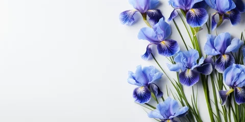 Foto auf Acrylglas Blue iris flower on a white background. Place for text, festive spring background. Generative AI © 22_monkeyzzz