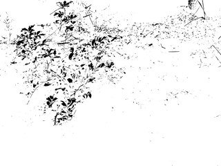 Obraz premium Rustic grunge texture with grain and stains. Abstract noise background. PNG graphic illustration with transparent background.