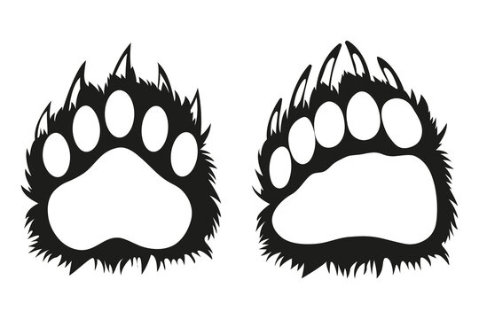 bear paw. Grizzly bear footprint vector illustration isolated on white background