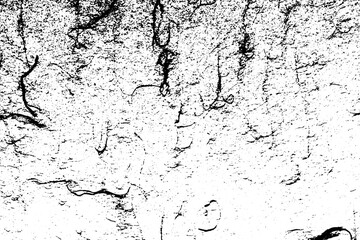 Rustic grunge vector texture with grain and stains. Abstract noise background. Weathered surface. Dirty and damaged. Detailed rough backdrop. Vector graphic illustration with transparent white. EPS10.