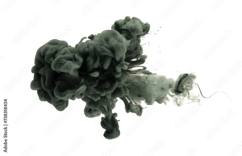 Wall mural ink in water. abstract smoke grain light and shadow texture background. black and white color.