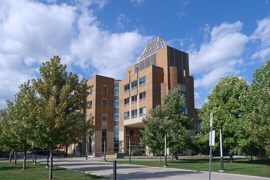 Tree lined path on modern university campus, University of Windsor, Ontario, Canada