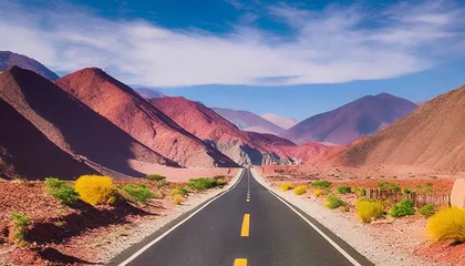 Fotobehang Ruta de montaña, argentina, noroeste © Edvillalba