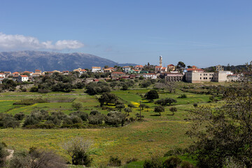 Fototapeta na wymiar View of the traditional village of Kefalonia island (Greece) on a sunny day