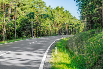 Two-lane asphalt road with white markings in the forest. Asphalt pavement. Road white markings....