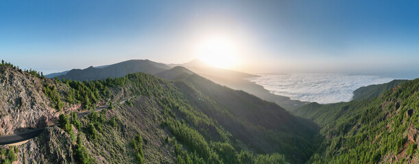 Panoramic aerial view of the pine forest in Teide National Park, Tenerife