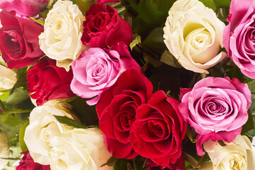 Colorful roses background. Flowers wall background, Wedding decoration