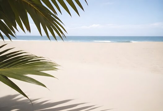  A close-up view of a sandy beach with palm tree leaves in the upper corners and ocean horizon in the background