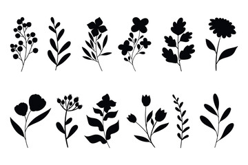 Leaves, flowers and branches silhouettes set. Wild plants and garden flowers silhouettes on white background