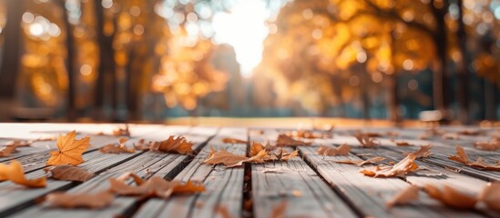 Autumn park with blurry backdrop, featuring fallen dry orange leaves on wooden boards. - obrazy, fototapety, plakaty