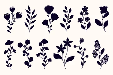 Fotobehang Leaves, flowers and branches silhouettes set. Wild plants and garden flowers silhouettes on white background © DesignToonsy