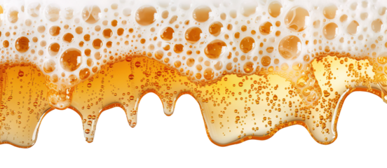 Foamy golden beer dripping over white transparent background