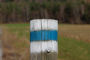 Znak niebieskiego szlaku namalowany na słupku na łące. W tle las.