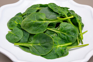 Fresh green baby Spinach leaves, diet and health concept, weight loss, spinach on ceramic plate,...