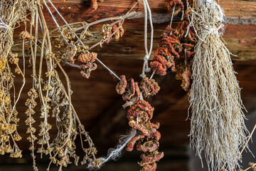 various aromatic herbs and mushrooms dried in the traditional Romanian peasant house