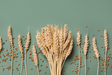 Wheat ears with grains on green background