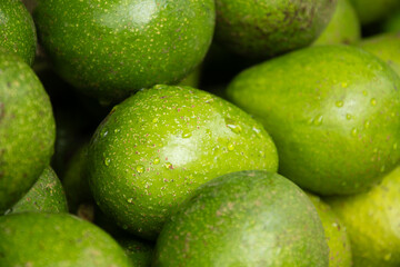 Fresh healthy green avocado on market as background. Agriculture. Food background. Close up.