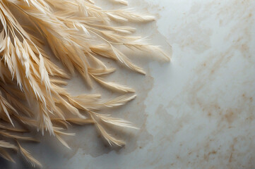 White Feather Accents Laying on Delicate Rice Paper Copy Space Background