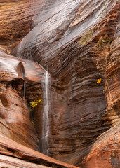 An ephemeral waterfall slides over the richly colored orange sandstone cliffs and past some small...