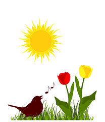singing bird, tulips and sun isolated on white background