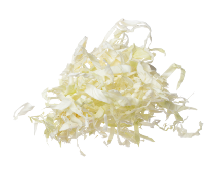Cabbage fly in mid air, green fresh vegetable cabbage cut chop slice food. Organic fresh vegetable with eaten leaf of cabbage falling, close up texture. White background isolated freeze motion