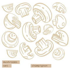 Isolated vector set of mushrooms. Champignons set. Hand drawn style on white background. 