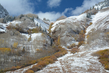 Autumn Vista On Maroon Bells-Snowmass Wilderness Area In Colorado