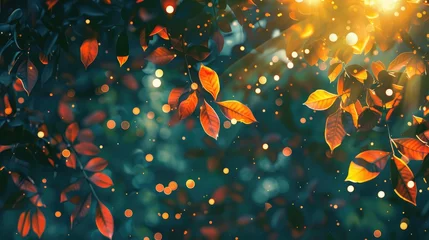 Foto op Canvas Abstract autumn background with leaves and evening light © buraratn