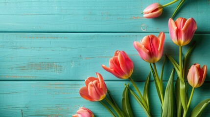 Frame of tulips on turquoise rustic wooden background. Spring flowers. Spring background. Greeting card for Valentine's Day, Woman's Day and Mother's Day. Top view.
