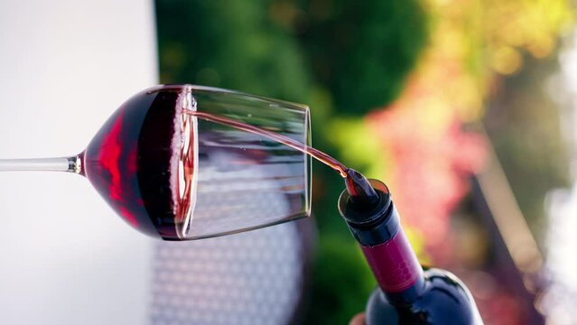 vertical video Close-up of a male sommelier's hand pouring aged wine from bottle into a glass for tasting on a vineyard