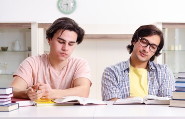 Fototapeta premium Two male students preparing for exams at home