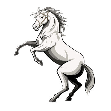 illustration of a white horse running in the field against the sky. horse on two legs.
