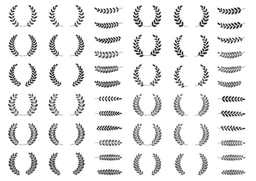 月桂樹・月桂冠のセット