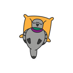 Pigeon sleeping on pillow. Vector illustration in flat style.