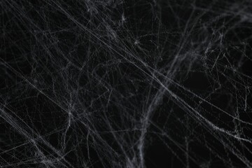 Creepy white cobweb on black background, closeup