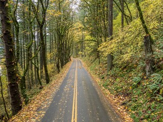 Country road in Columbia River Gorge National Scenic Area , Oregon, United States.