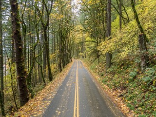 Country road in Columbia River Gorge National Scenic Area , Oregon, United States.