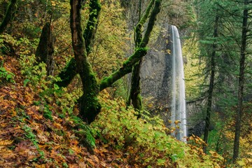 Waterfall in the Columbia River Gorge National Scenic Area , Oregon, United States.
