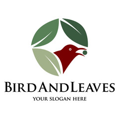 bird and tree logo design