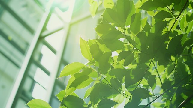 Eco-friendly building in the modern city. Green tree branches with leaves and sustainable glass building for reducing heat and carbon dioxide. Office building with green environment. G : Generative AI