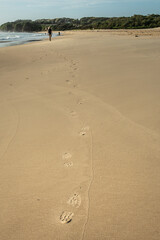 footprints of man walking on a golden sandy beach in boots