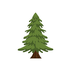 Drawn fir tree on white background